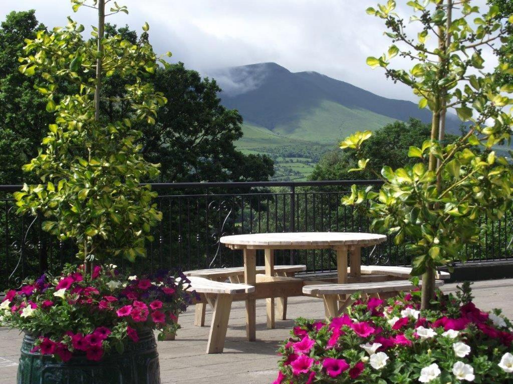 Aherlow House Hotel & Lodges エクステリア 写真