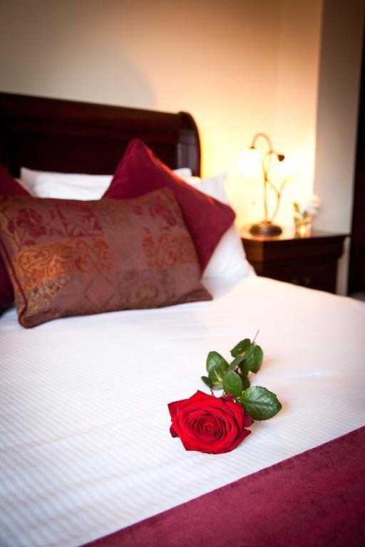 Aherlow House Hotel & Lodges 部屋 写真